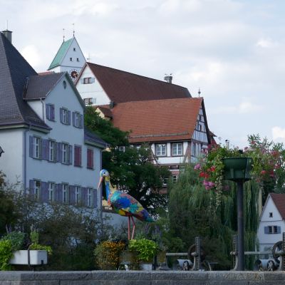 087 In Riedlingen